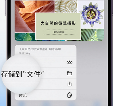 富川apple维修中心分享iPhone文件应用中存储和找到下载文件