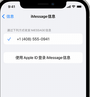 富川apple维修iPhone上无法正常发送iMessage信息 