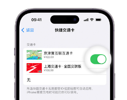 富川apple维修点分享iPhone上更换Apple Pay快捷交通卡手绘卡面 