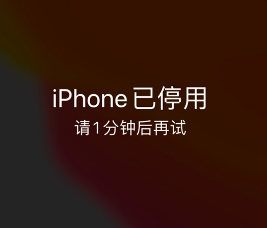 富川苹果手机维修分享:iPhone 显示“不可用”或“已停用”怎么办？还能保留数据吗？ 