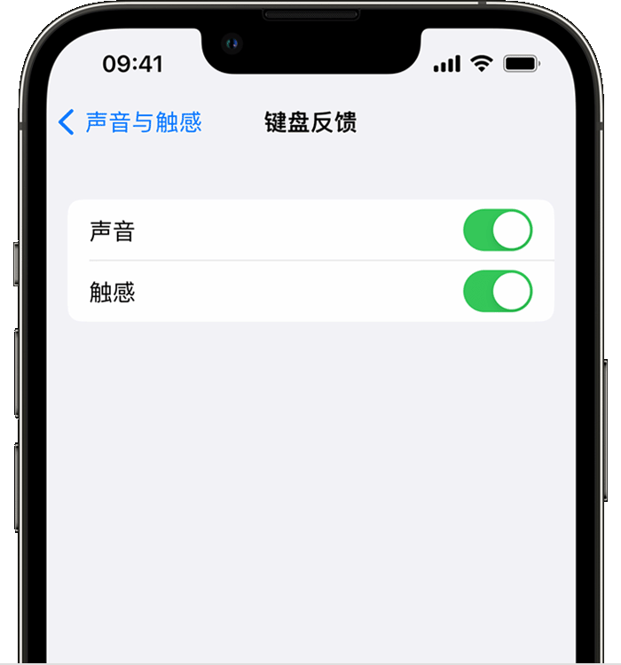 富川苹果14维修店分享如何在 iPhone 14 机型中使用触感键盘 