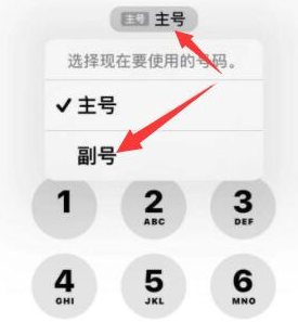 富川苹果14维修店分享iPhone 14 Pro Max使用副卡打电话的方法 