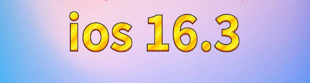 富川苹果服务网点分享苹果iOS16.3升级反馈汇总 